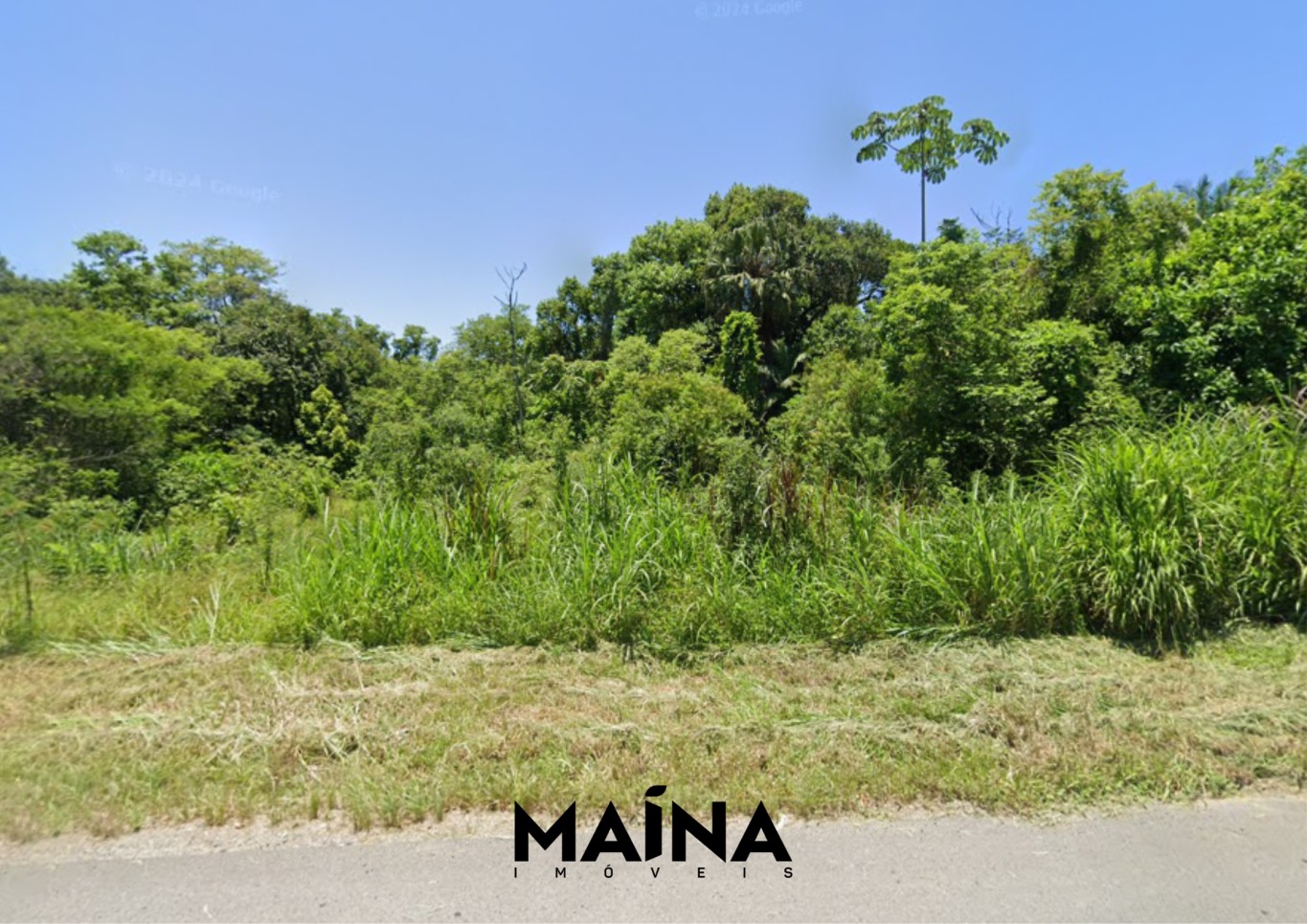 Lote/Terreno de 45517m² no bairro Testo Central, em Pomerode | Eu Corretor