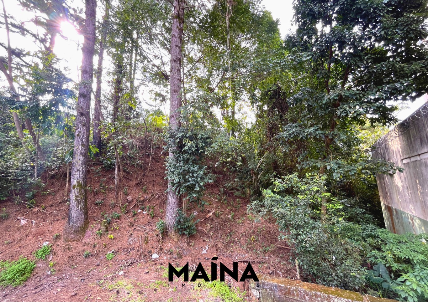 Lote/Terreno de 480m² no bairro Itoupava Norte, em Blumenau | Eu Corretor