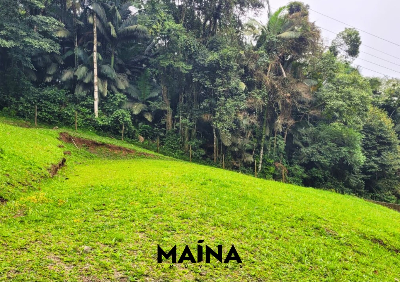 Lote/Terreno de 1200m² no bairro Do Salto, em Blumenau | Eu Corretor