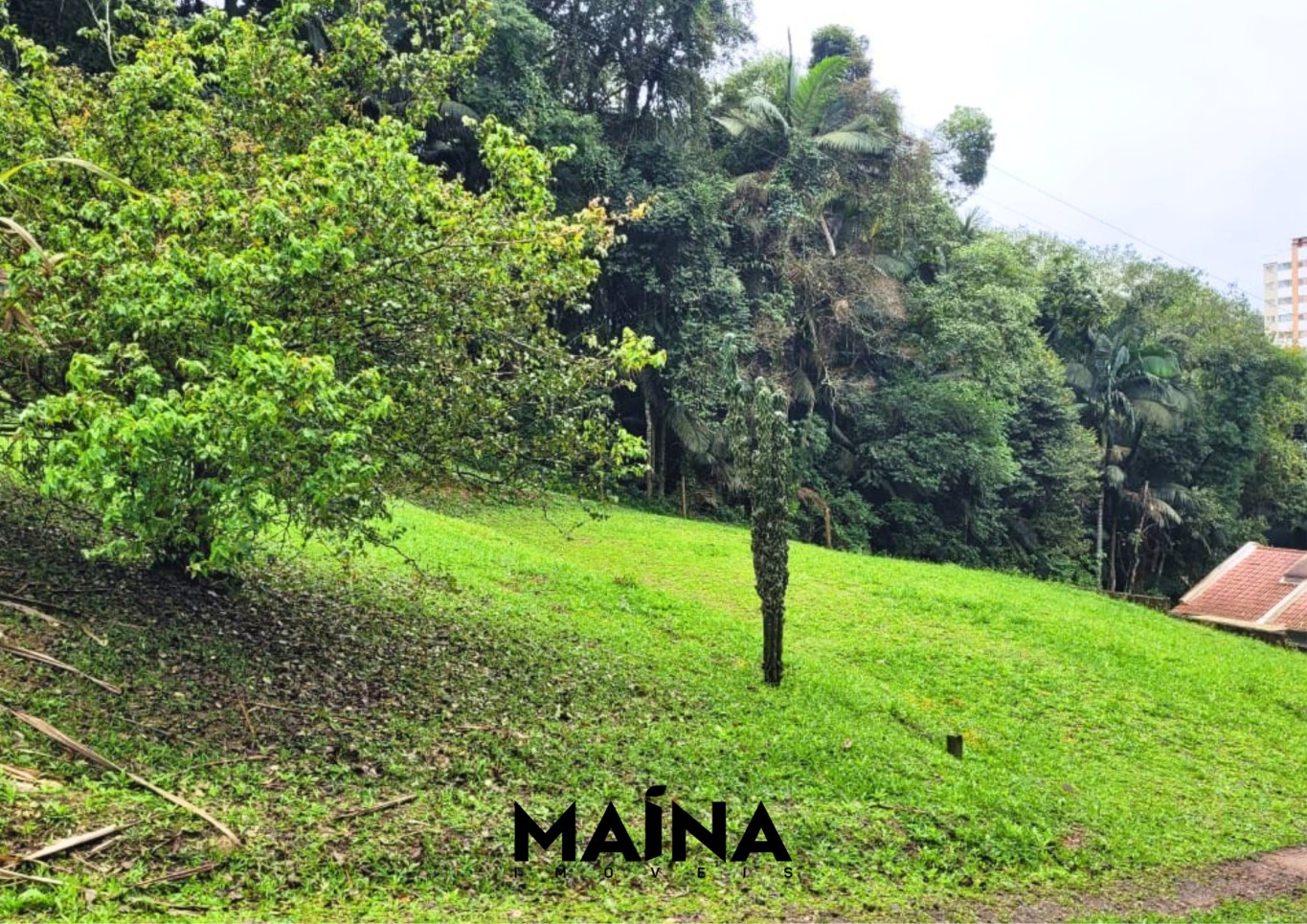 Lote/Terreno de 1200m² no bairro Do Salto, em Blumenau | Eu Corretor