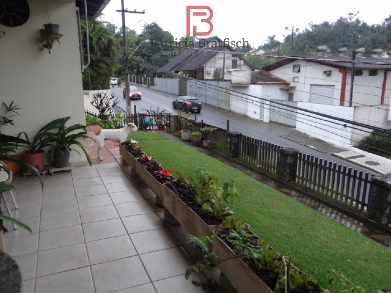 Jardim