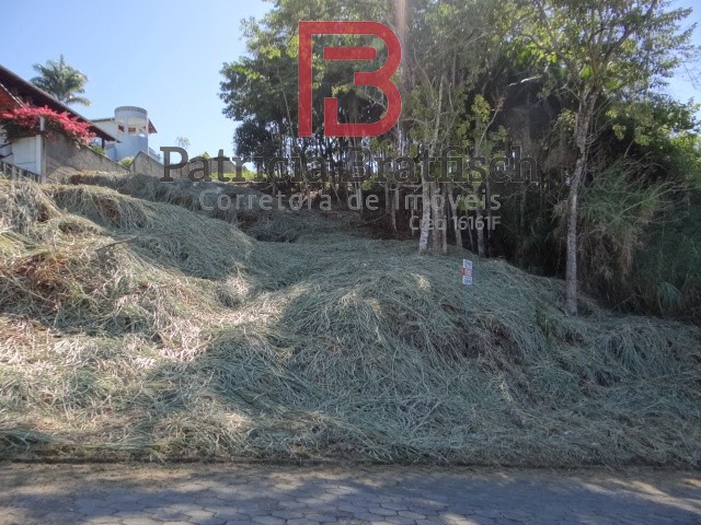 Amplo terreno em loteamento de excelente padrão, no Bairro Escola Agrícola. — foto 4