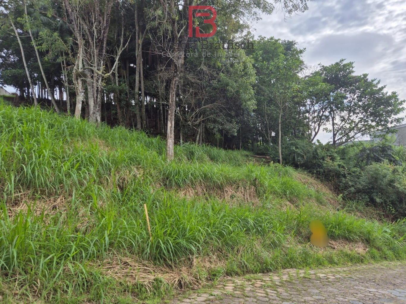 Amplo terreno em loteamento de excelente padrão, no Bairro Escola Agrícola. — foto 2