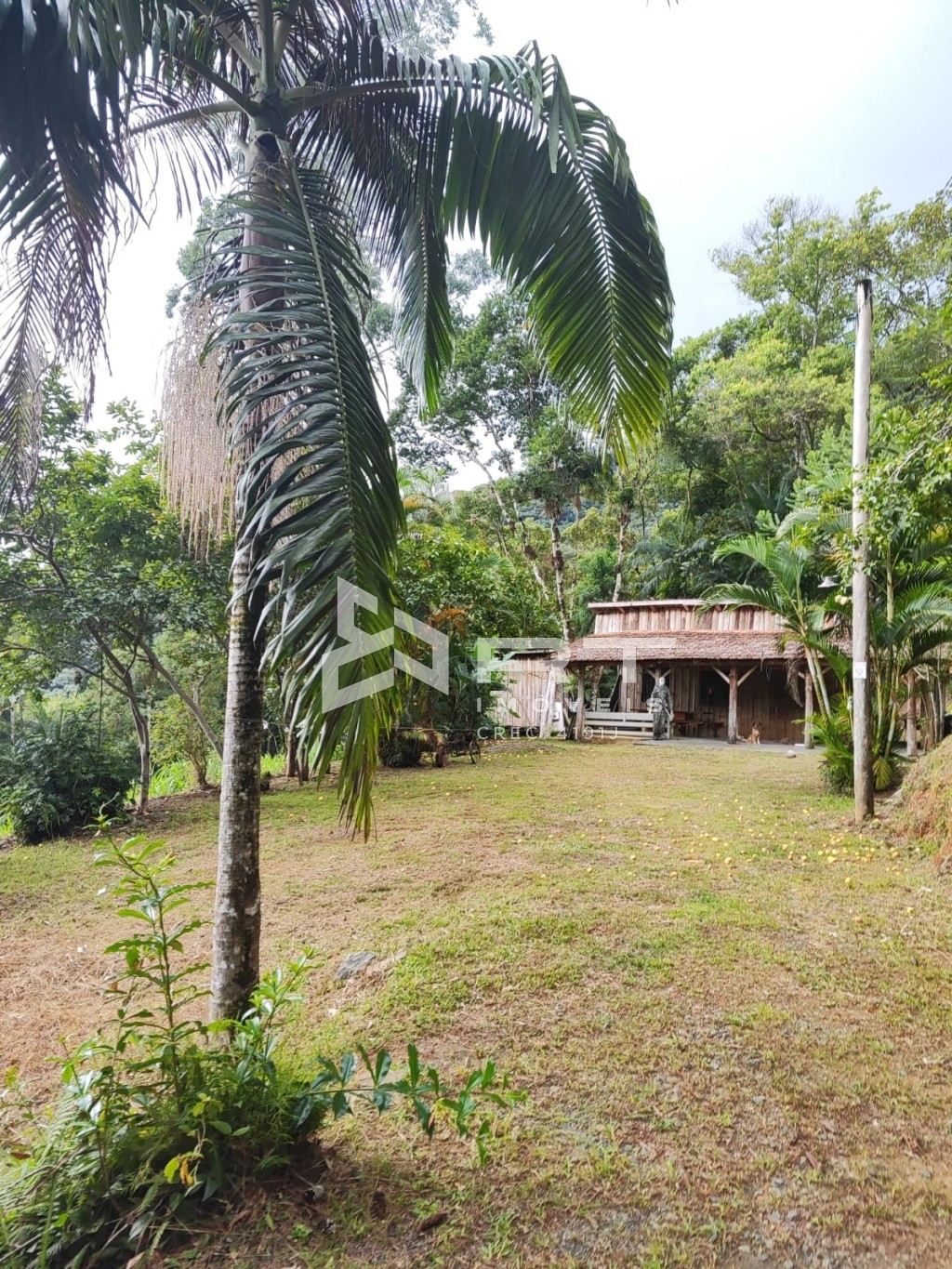 Fazenda/Sítios/Chácaras de 1 quarto, no bairro Progresso, em Blumenau | Eu Corretor