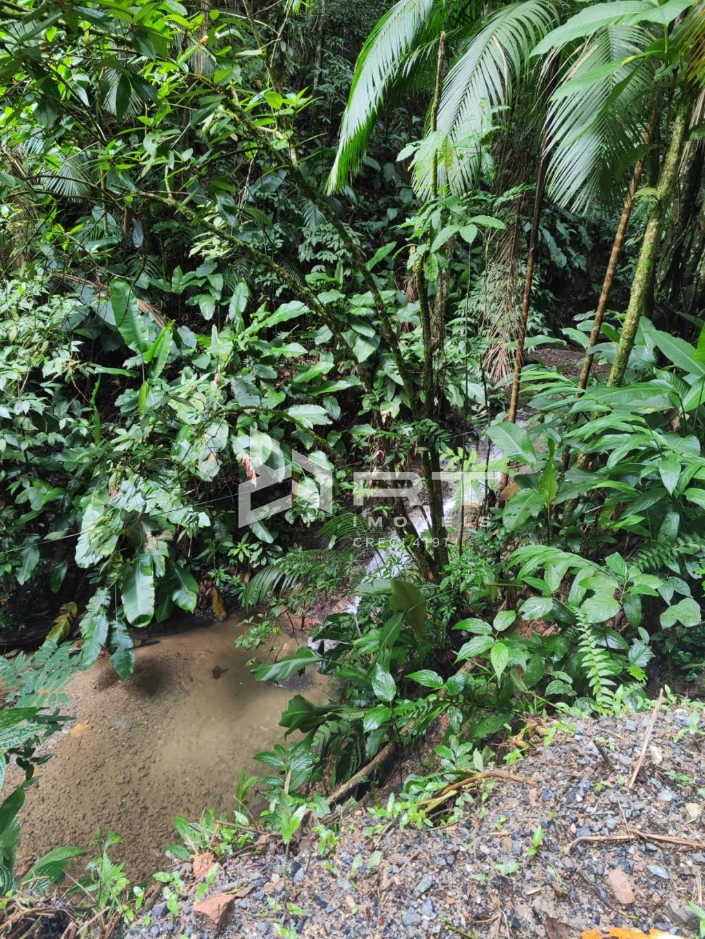 Fazenda/Sítios/Chácaras de 1 quarto, no bairro Progresso, em Blumenau | Eu Corretor