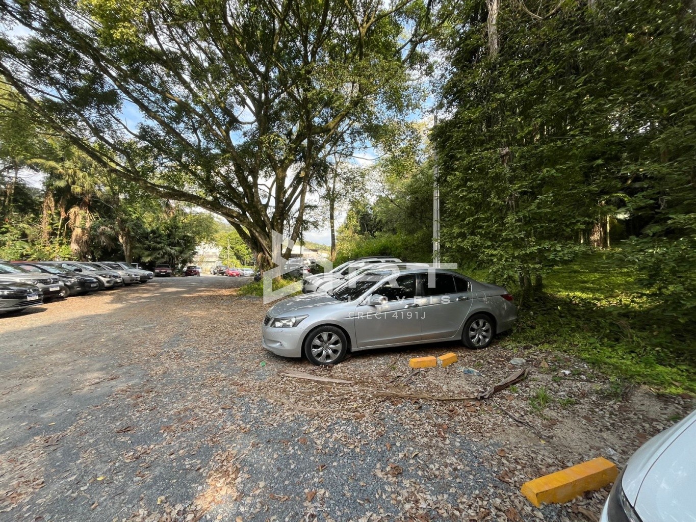 Lote/Terreno de 10000m² no bairro Escola Agrícola, em Blumenau | Eu Corretor