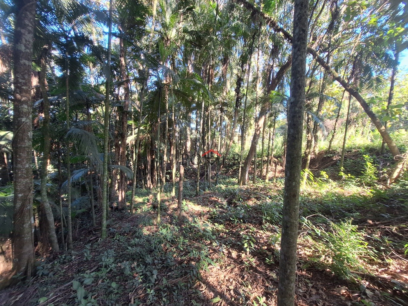 Terrenos em rua alta e tranquila, sem saída, no Bairro de Testo Rega na cidade de Pomerode com 500,00m, fazendo frente em 20,00 metros. — foto 4