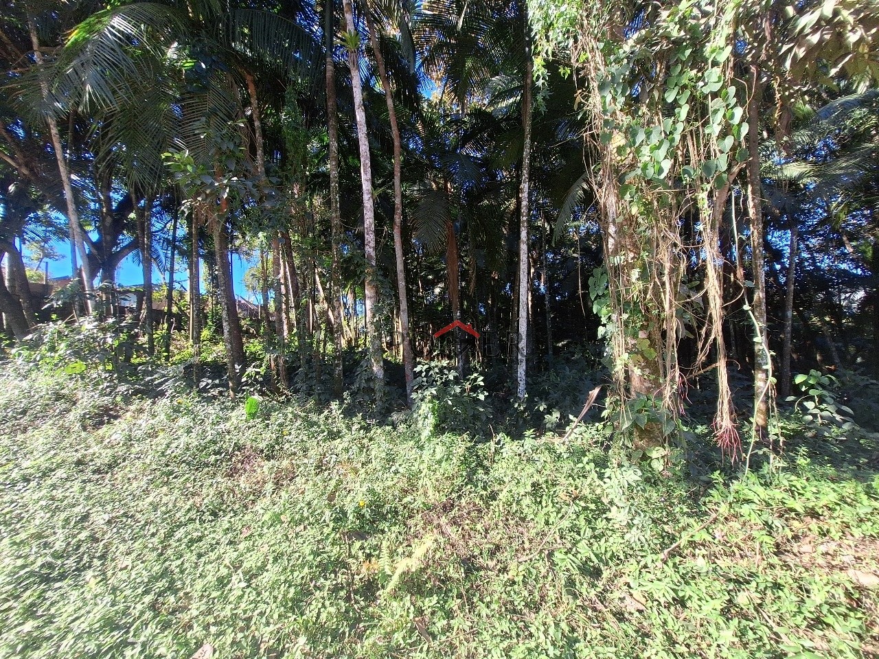 Terrenos em rua alta e tranquila, sem saída, no Bairro de Testo Rega na cidade de Pomerode com 500,00m, fazendo frente em 20,00 metros. — foto 3