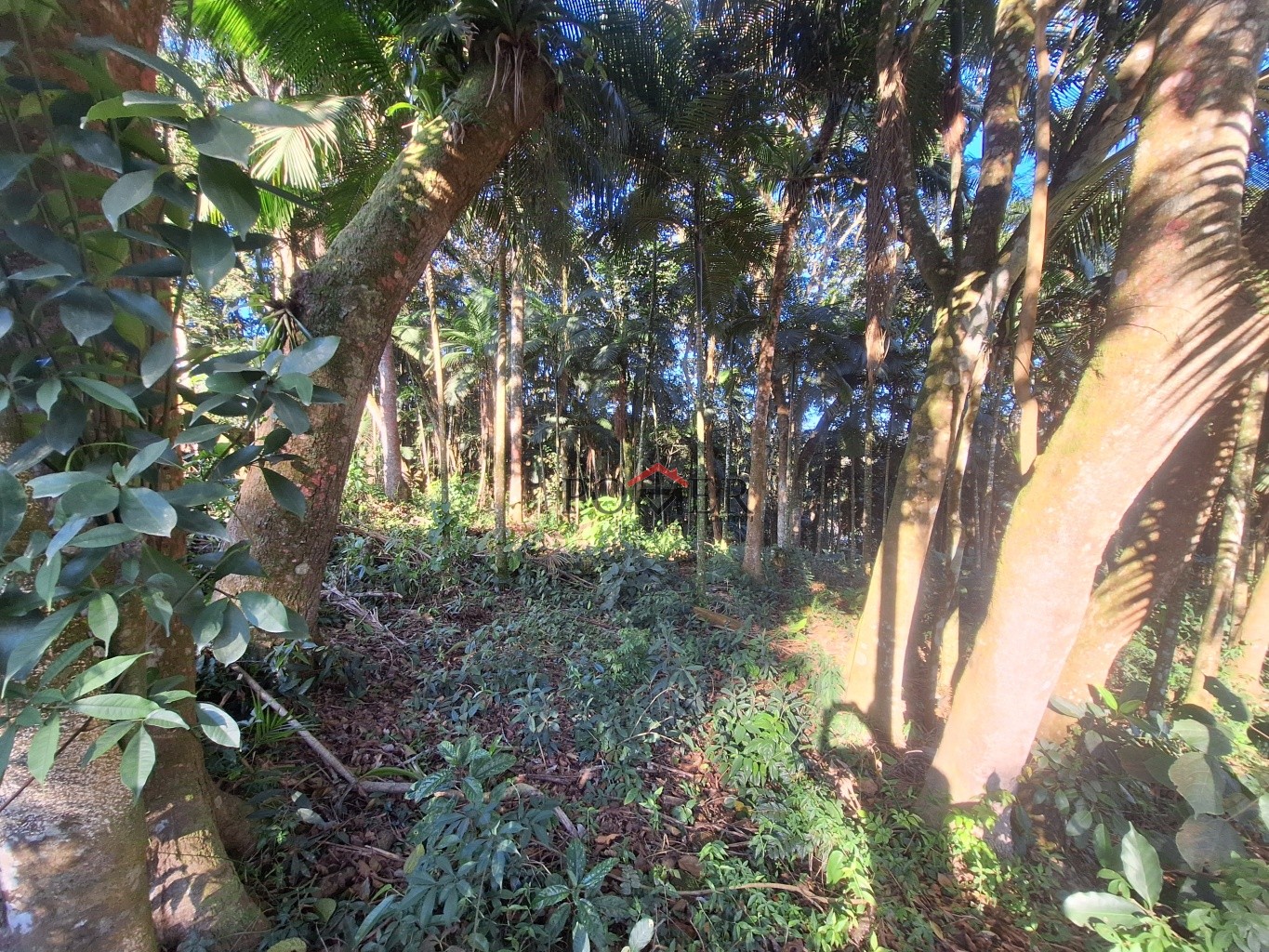 Terrenos em rua alta e tranquila, sem saída, no Bairro de Testo Rega na cidade de Pomerode com 500,00m, fazendo frente em 20,00 metros. — foto 6