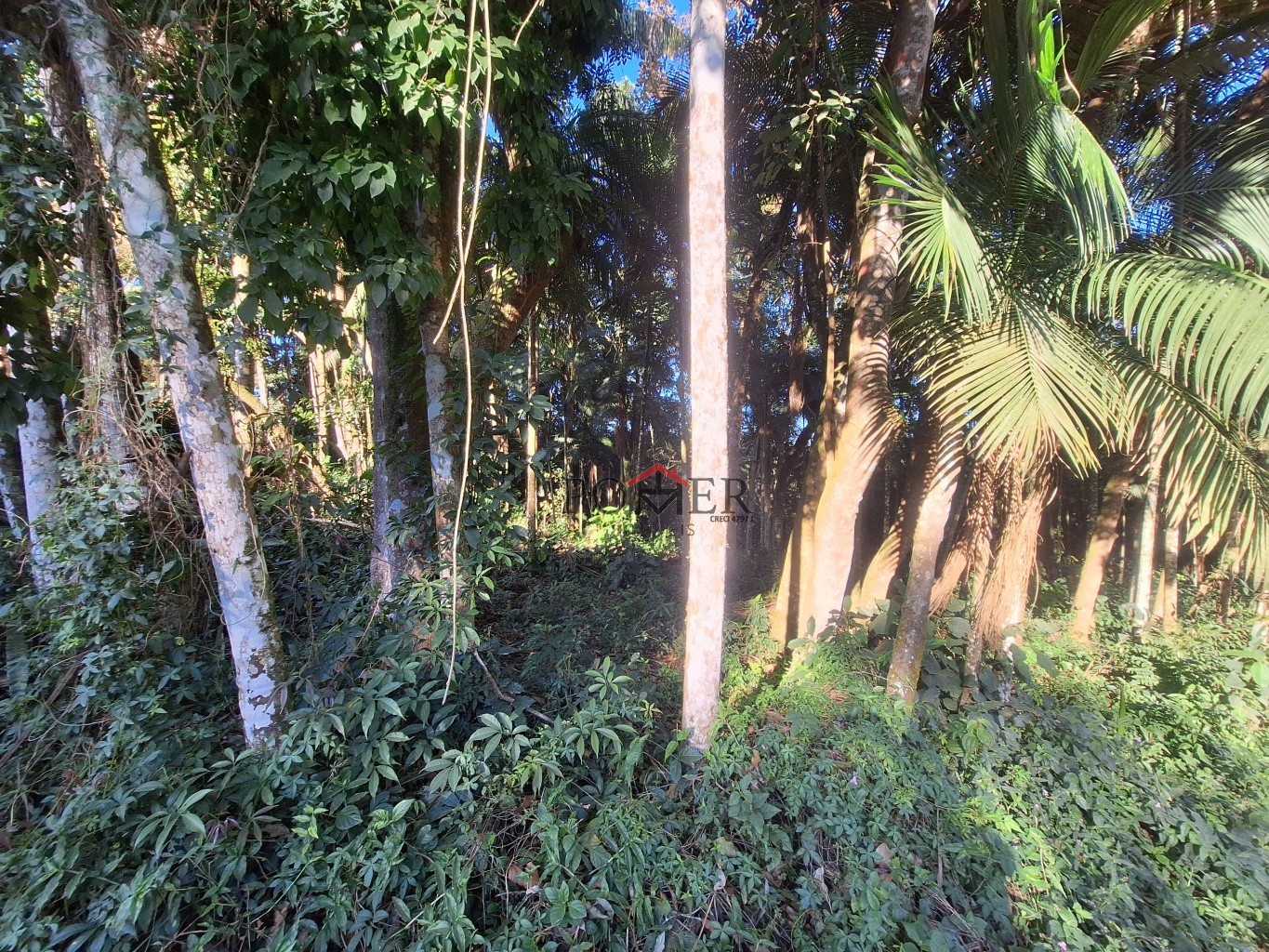 Terrenos em rua alta e tranquila, sem saída, no Bairro de Testo Rega na cidade de Pomerode com 500,00m, fazendo frente em 20,00 metros. — foto 7